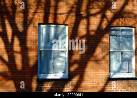 Abstract patterns and shapes caused by the strong shadows of a tree cast onto a red brick wall with two blank windows Stock Photo