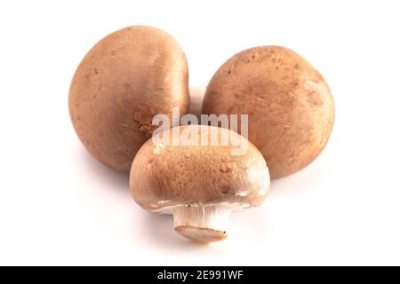 Baby Portobello Mushrooms Isolated on a White Background Stock Photo