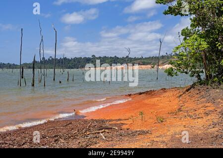 Dead trees in the Brokopondo reservoir / Brokopondostuwmeer, artificial lake created by constructing the Afobaka Dam across the Suriname River Stock Photo