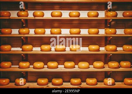 Rows of cheeses on the wooden shelves, show Arrangement in a specialty cheese shop