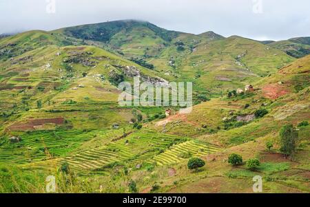 Typical Madagascar landscape - green and yellow rice terrace fields on small hills with clay houses in Andringitra region near Sendrisoa Stock Photo