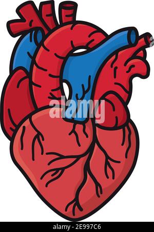 Human heart isolated vector illustration for Heart Day on September 29 Stock Vector