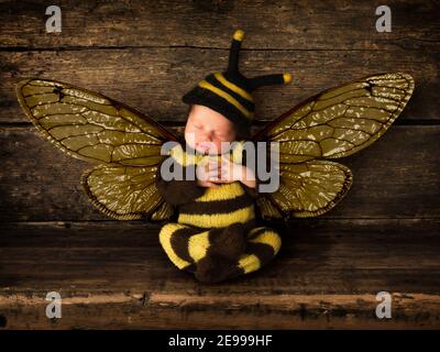 Newborn adorable baby boy in bee outfit sleeping on an old wooden shelf Stock Photo