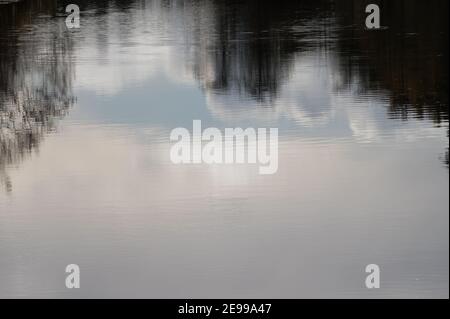 Trees and clouds reflecting in river, abstract photo with copy space Stock Photo