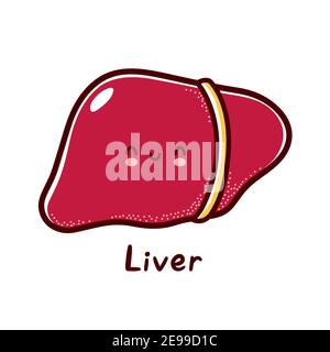 Cute happy funny human liver organ character. Vector flat line cartoon kawaii character illustration icon. Isolated on white background. Liver with face character mascot concept Stock Vector