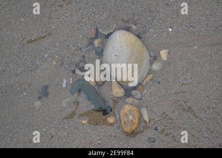 Stones + Shells On Filey Beach On A Winters Day - Sitting In Water - Yorkshire - UK Stock Photo