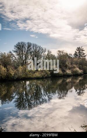 Trees on river shore reflect in water with clouds Stock Photo
