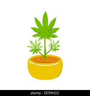 Marijuana weed plant in pot. Vector trendty flat line illustration icon. Isolated on white background. Plant marijuana concept Stock Vector