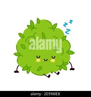 Cute funny marijuana weed bud character sleep. Vector flat line cartoon kawaii character illustration icon. Isolated on white background. Weed face character mascot concept Stock Vector