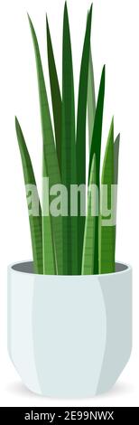 Home Plant in Pot Flat Illustration, Isolated. Decorative Indoor Cartoon Flowerpot Exotic Flora. Domestic Horticulture. Natural Exotic Window or Inter Stock Vector