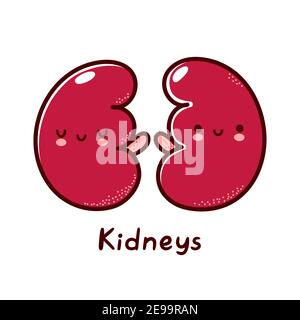 Cute happy funny human kidneys organ character. Vector flat line cartoon kawaii character illustration icon. Isolated on white background. Kidneys with face character mascot concept Stock Vector