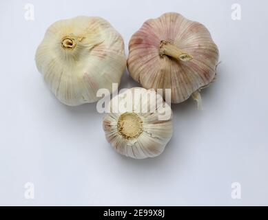 Three garlic turn up and down on white background Stock Photo
