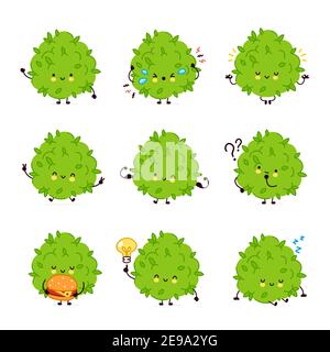 Cute funny marijuana weed bud character set collection. Vector flat line cartoon kawaii character illustration icon. Isolated on white background. Weed face character mascot bundle concept Stock Vector