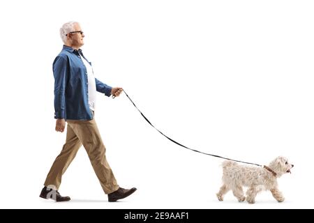 Full length profile shot of a mature man walking a maltese poodle dog isolated on white background Stock Photo