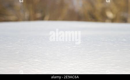pure white snow covered the ground Stock Photo