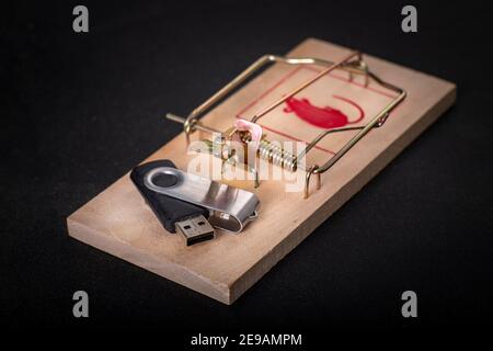 Electronic memory flash drive placed in the mouse clutch. A data protection trap on their portable devices. Dark background. Stock Photo