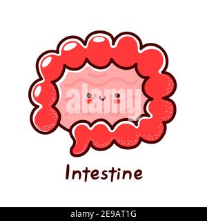 Cute happy funny human intestine organ character. Vector flat line cartoon kawaii character illustration icon. Isolated on white background. Intestine with face character mascot concept Stock Vector