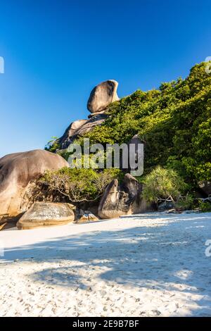 Beautiful, empty tropical sandy beach surrounded by lush green foliage and granite rocks (Ko Similan, Thailand) Stock Photo