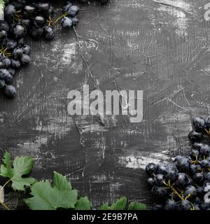 Black juicy grapes on vintage dark concrete background. Frame made of grapes. Copy space for text or menu on black scuffed background. square crop Stock Photo