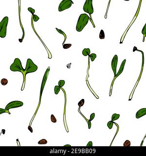 Hand drawn micro greens seamless pattern. Vector illustration in colored sketch style isolated on white background Stock Vector