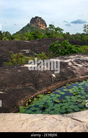 A beautiful view looking from Millagala Rock towards Sigiriya Rock in Sri Lanka taken in the late afternoon. Stock Photo