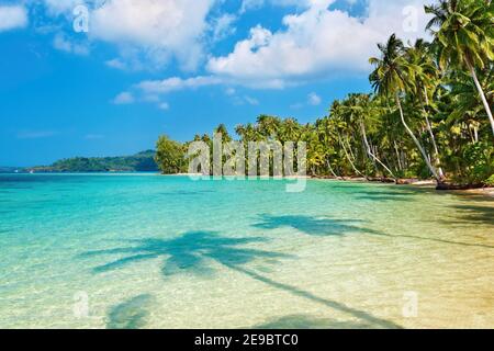 Coconut palms on the beach, Kood island, Thailand Stock Photo