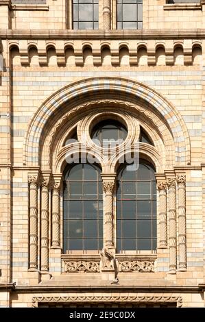 LONDON, UK - SEPTEMBER 12, 2009:  Window detail on the Natural History Museum Stock Photo