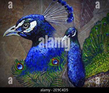 Original oil painting cute peacock bird and peafowl Stock Photo