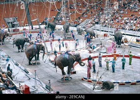 Elephants take to the arena at the three-ring Ringling Bros and Barnum and Bailey Circus the USA in 1974. It was called ‘The Greatest Show on Earth’. Changes in attitudes in using animals for entertainment has meant the retirement from performing for animals such as the elephant. Ringling Bros and Barnum and Bailey Circus began that process in 2015 when the circus’s parent company, Feld Entertainment, first announced it would be phasing out its use of performing elephants. The elephants move into a brand-new conservation centre in Florida in 2021. Stock Photo