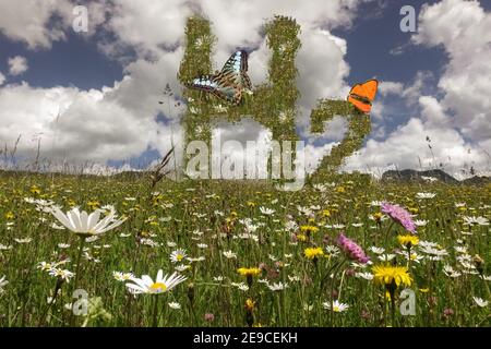 Hydrogen H2 Letters On A Meadow With Flowers And One Orange Butterfly In The Nature Stock Photo Alamy