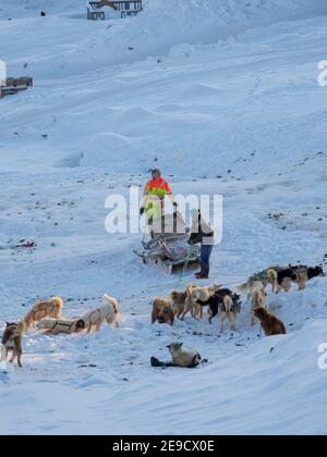 Back from the hunt. The traditional and remote Greenlandic Inuit ...