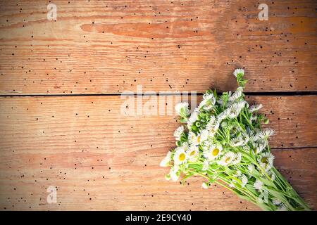 White garden small chamomile flowers on wooden background. Simple bouquet on old boards texture. Stock Photo