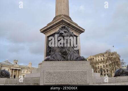A lion statue in Trafalgar Square, London, UK