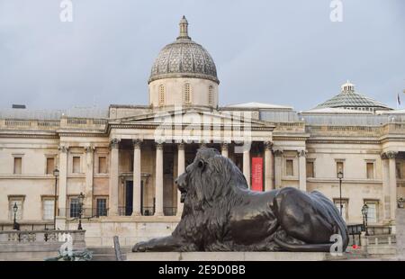 Daytime view of The National Gallery and a lion statue, Trafalgar Square, London, UK Stock Photo