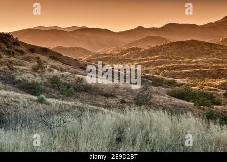 Pajarito Mountains in Pajarita Wilderness area, Sonoran Desert at sunrise from Ruby Road near Mexican border and ghost town of Ruby, Arizona, USA Stock Photo