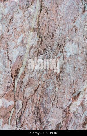 Stone texture during the development of an old marble quarry near the village of Artyshta, Kemerovo region-Kuzbass Stock Photo