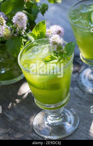 Wild water mint, Water mint, Horse mint (Mentha aquatica), selfmade limonade of water mint, Germany Stock Photo