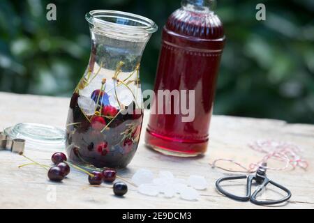 Cherry tree, Sweet cherry (Prunus avium), selfmade cherry liqueur , Germany Stock Photo