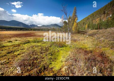 autumn in Rondane national park, Norway, Rondane National Park, Opdall Stock Photo