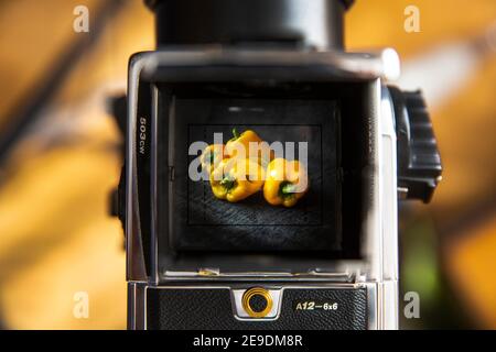 Hasselblad viewfinder hi-res stock photography and images - Alamy