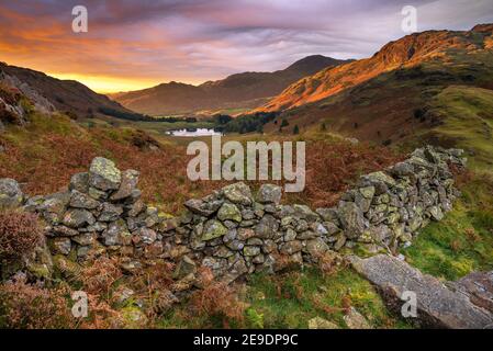 Asperitas clouds at sunrise with beautiful light on mountains. Side Pike, Lake District, UK. Stock Photo