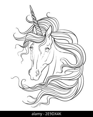 realistic unicorn drawing head