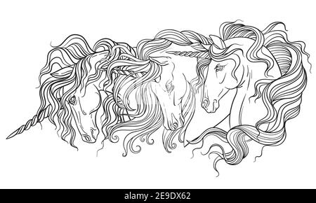 Heads of three unicorns with a long manes. Vector black and white contour illustration for coloring page. For the design of prints, posters, postcards Stock Vector
