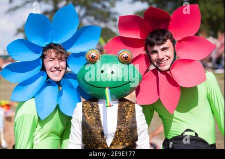 rose flower costume for kids fancy dress | Fancy dress for kids, Flower  costume, Kids costumes
