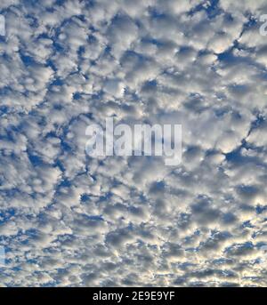 Natural background - white fluffy stratocumulus clouds on blue sky. Texture of unusual cloudy sky in sunny day. Clouds with sunlight illuminated. Mete Stock Photo