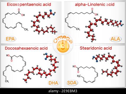 Omega-3, polyunsaturated fatty acids. Eicosapentaenoic acid EPA , docosahexaenoic acid DHA , stearidonic acid SDA , alpha-linolenic acid ALA  Stock Vector