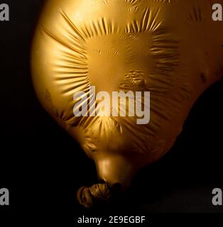 A Golden Balloon Loses Air And Its Sagging Skin Is Full Of Shrinkage In a-golden-balloon-loses-air-and-its-sagging-skin-is-full-of-shrinkage-in