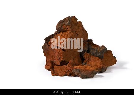 Natural chaga mushroom pieces isolated on a white background with cliping path without shadow. Inonotus Obliquus is a medical plant. Stock Photo