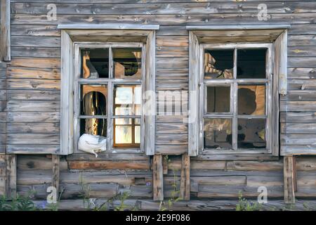 Old destroyed abandoned dirty raw wooden house with the broken out windows Stock Photo