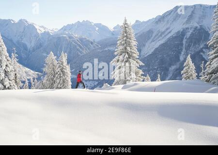 Snowshoeing Woman, Untouched Snowfield In The Foreground, Snowcovered Fir Trees And Snow Mountains In The Background, Valley View. Bettmeralp, Valais, Stock Photo